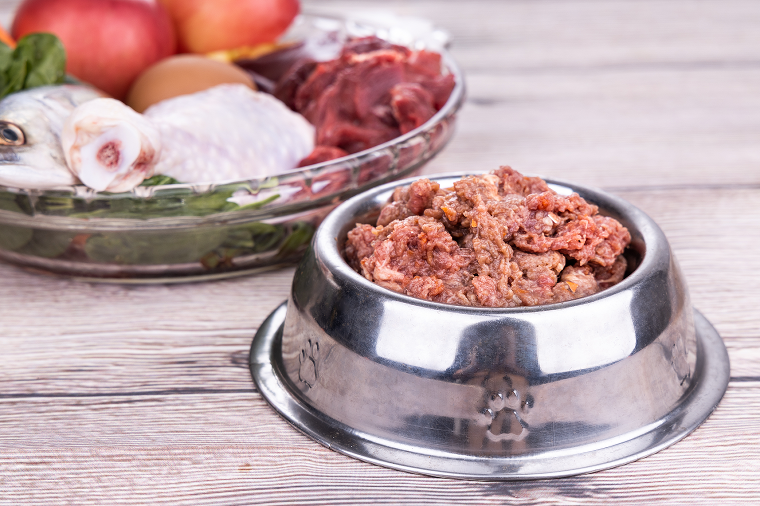 What is shop raw pet food