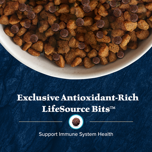 Blue Buffalo Wilderness Chicken With Wholesome Grains Recipe, Dry Dog Food