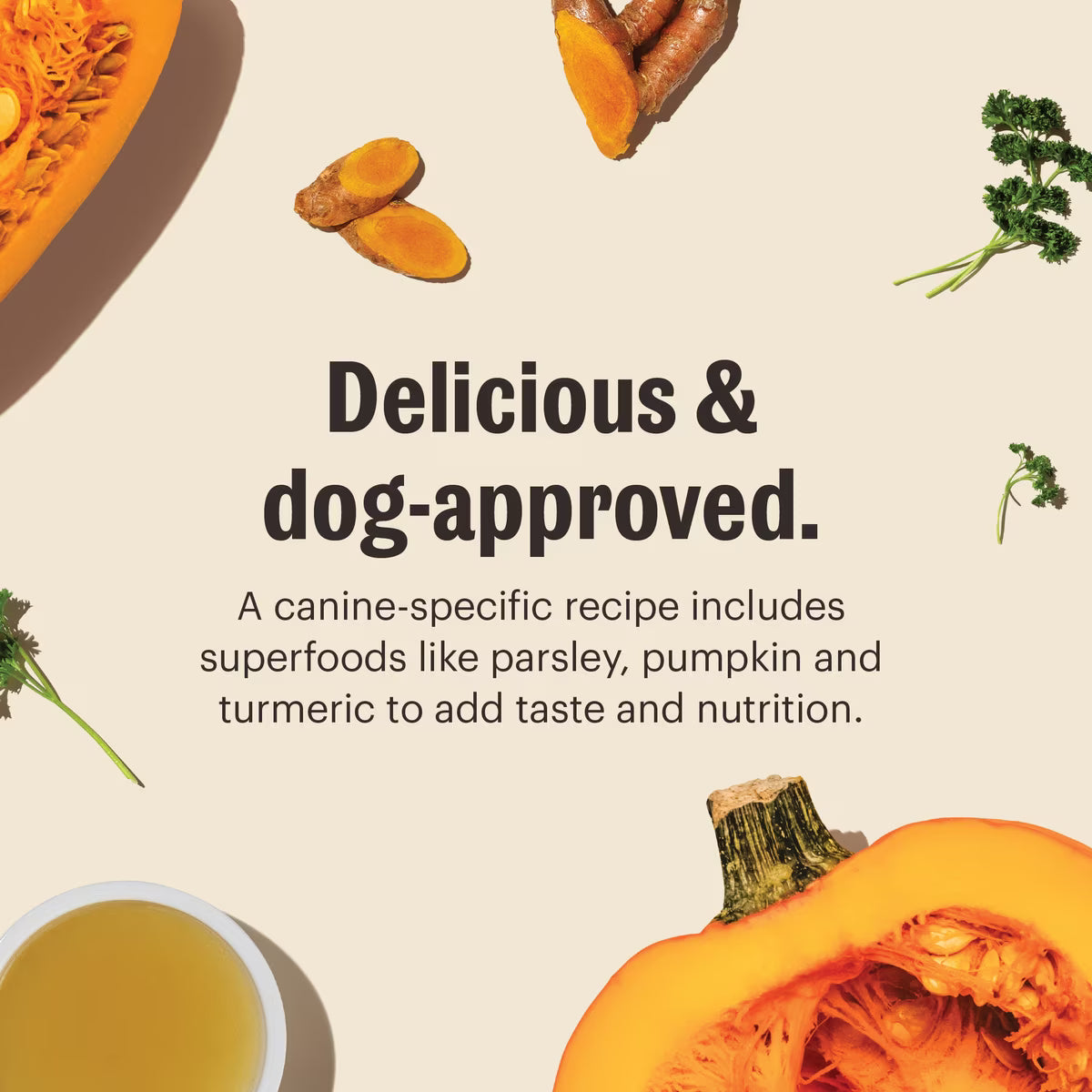 The Honest Kitchen Instant Beef Bone Broth 3.6oz, Dog Meal Topper