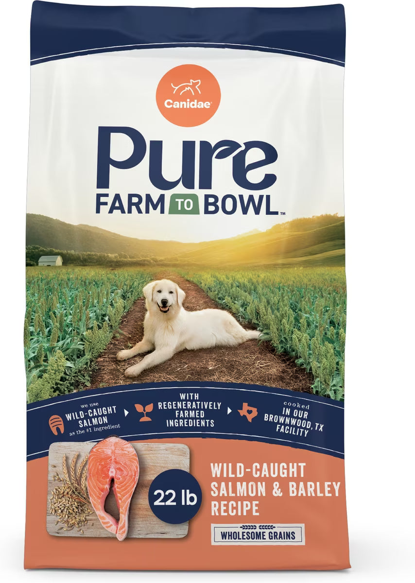 Canidae Pure Wholesome Grains Adult Salmon & Barley, Dry Dog Food