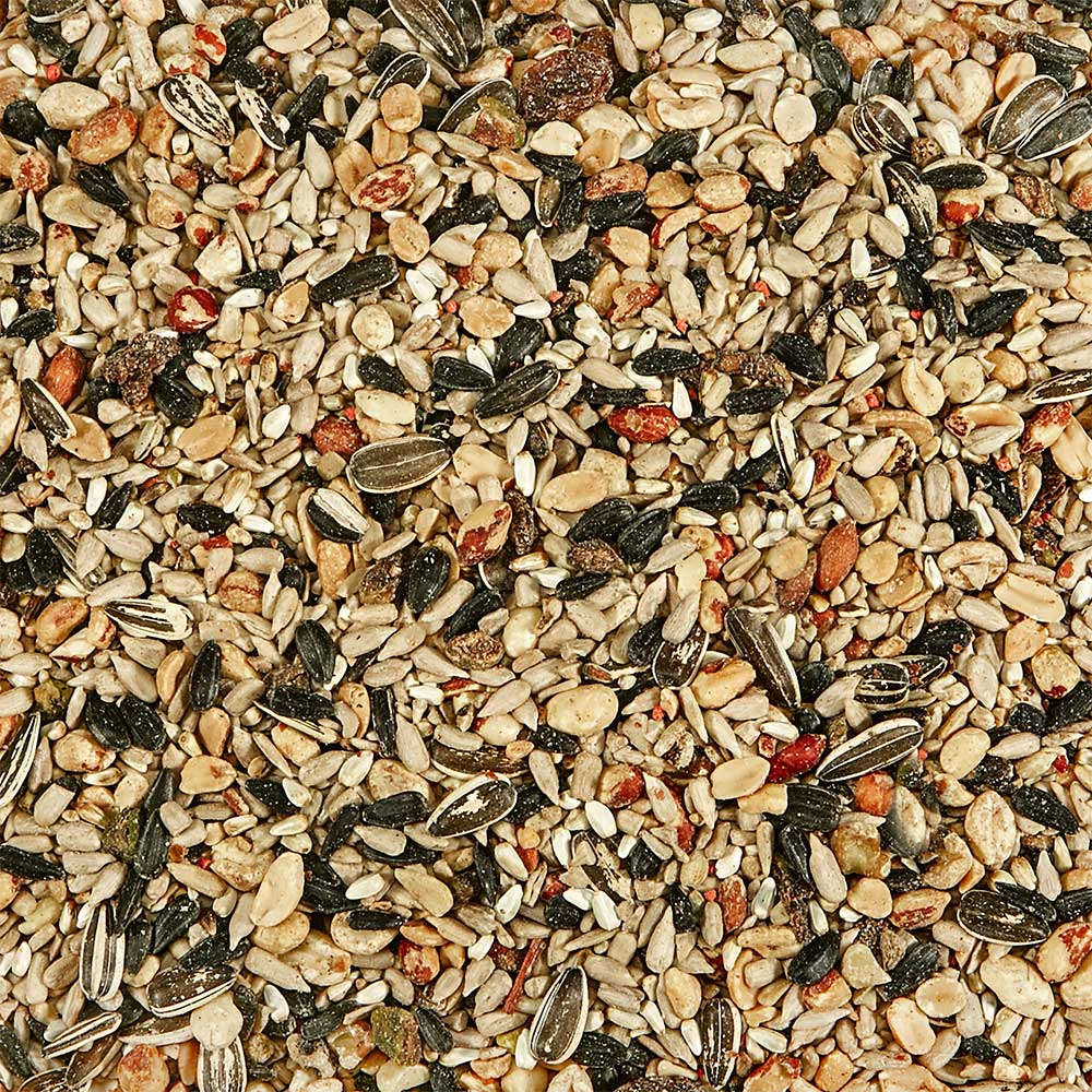 Kaytee Nut & Fruit Blend Wild Bird Food, 5-lb Bag