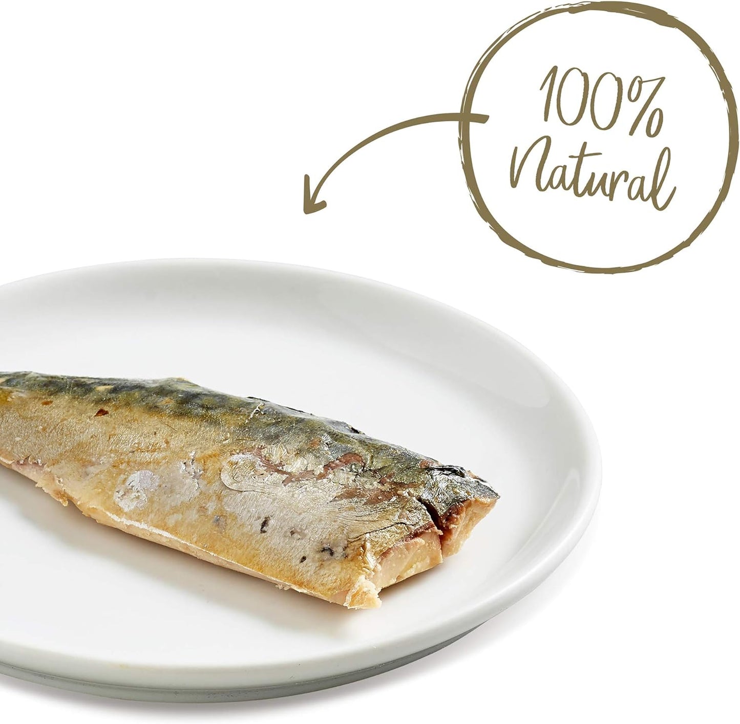 Applaws Loin Mackerel Grain-Free Fillet 1.06-oz, Cat Treat
