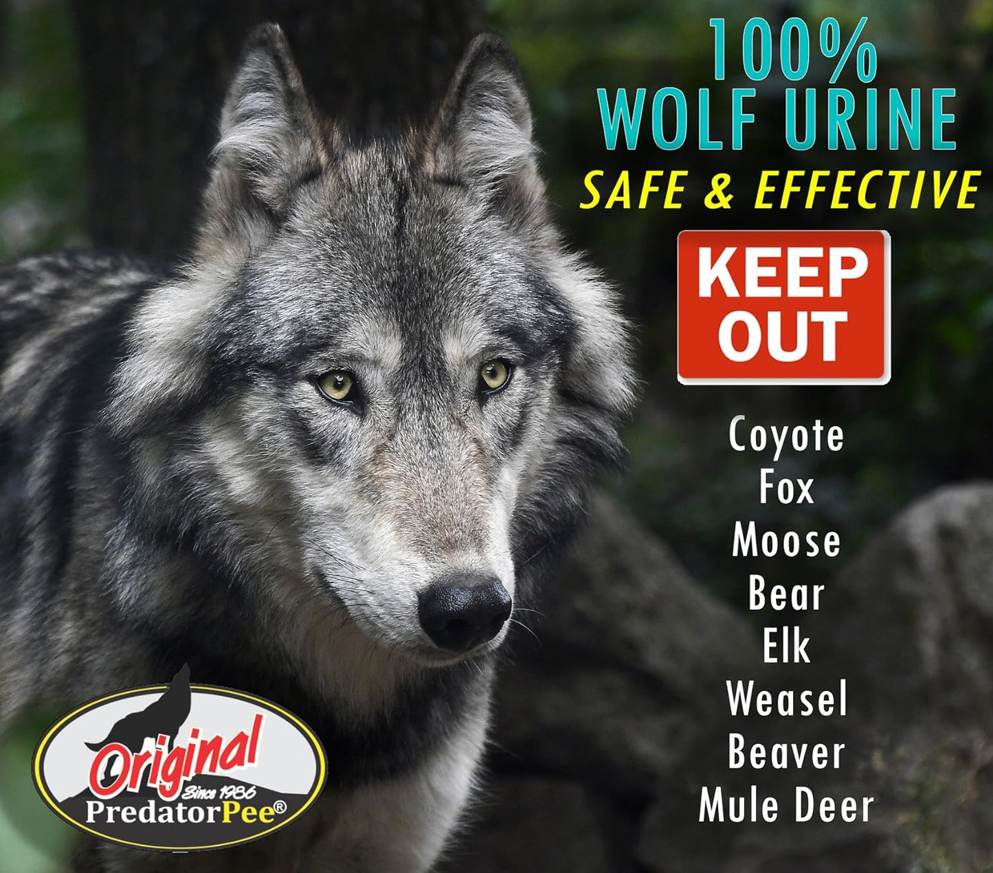 Maine Wolf Pee 100%, 12-oz Squeeze Bottle