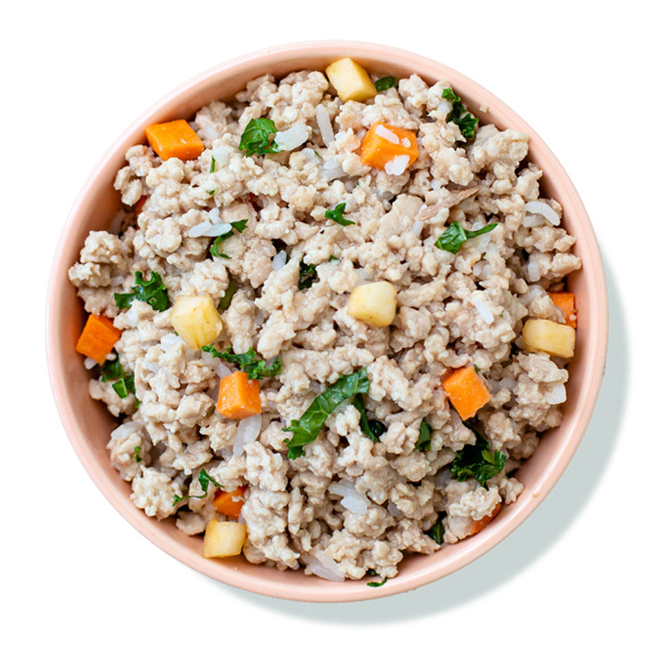 A Pup Above Chicka Chicka Bow Wow, Gently Cooked Dog Food