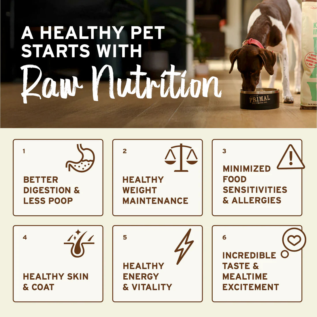 Primal Freeze-Dried Raw Nuggets Duck Recipe, Dog Food
