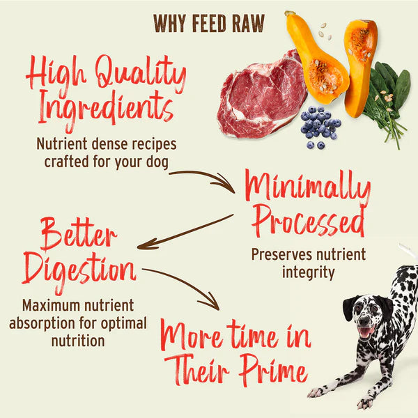 Primal Freeze-Dried Raw Nuggets Duck Recipe, Dog Food