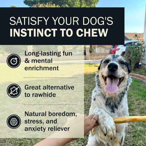 Redbarn Collagen Wrapped Esophagus Stick, Dog Chew