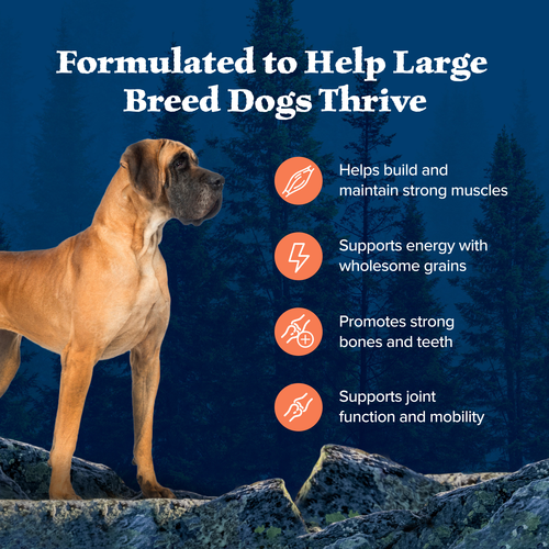 Blue Buffalo Wilderness Large Breed Adult Chicken With Wholesome Grains Recipe 24-lb , Dry Dog Food