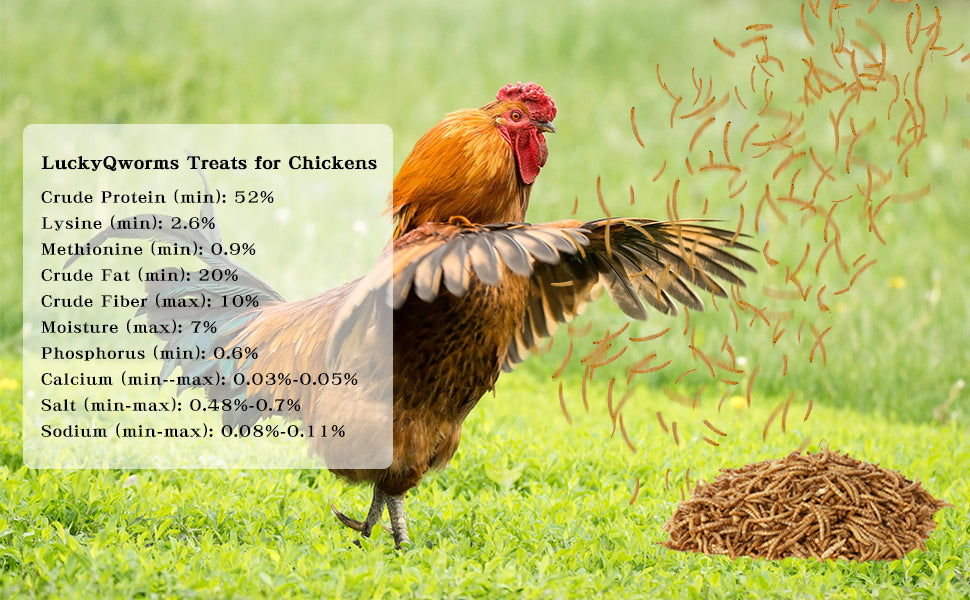 LuckyQWorms Dried Mealworms