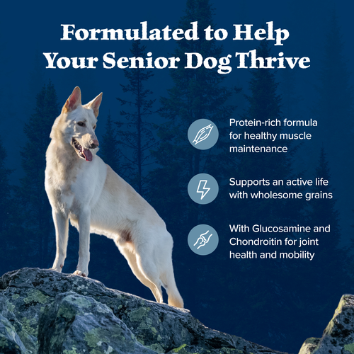 Blue Buffalo Wilderness Senior Chicken With Wholesome Grains Recipe, Dry Dog Food