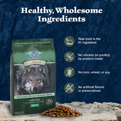 Blue Buffalo Wilderness Duck With Wholesome Grains Recipe, Dry Dog Food