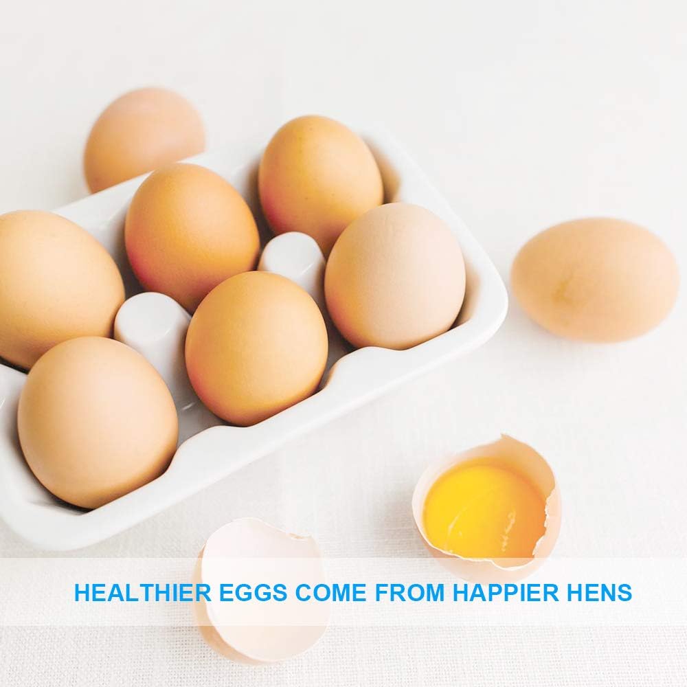 LuckyQWorms Dried Mealworms