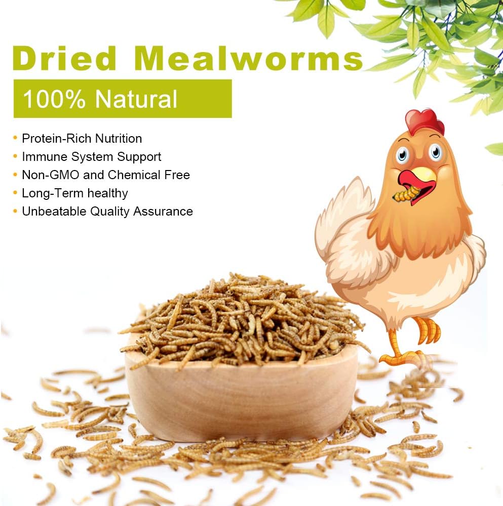 LuckyQWorms Dried Mealworms