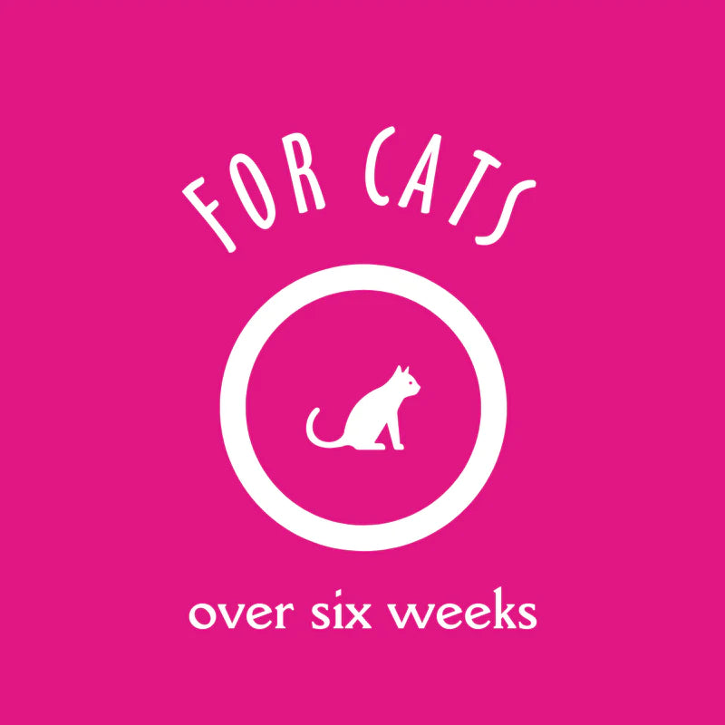 Earthbath 2-in-1 Conditioning 16-oz, Cat Shampoo