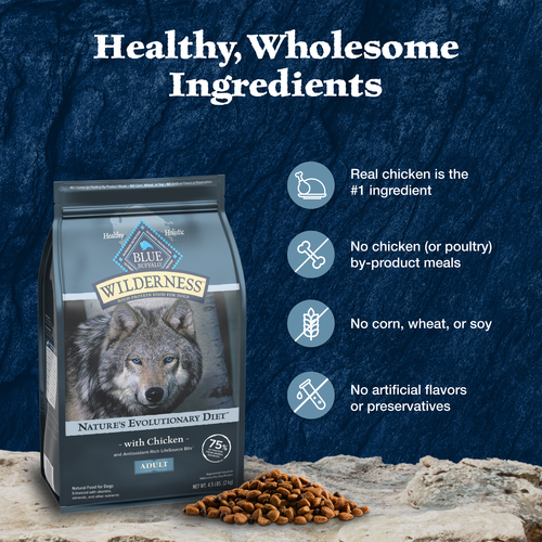 Blue Buffalo Wilderness Chicken With Wholesome Grains Recipe, Dry Dog Food