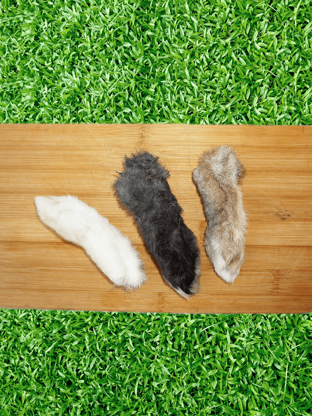 Furever Fierce Rabbit Feet, Dog Chews, 4-Pack Bag