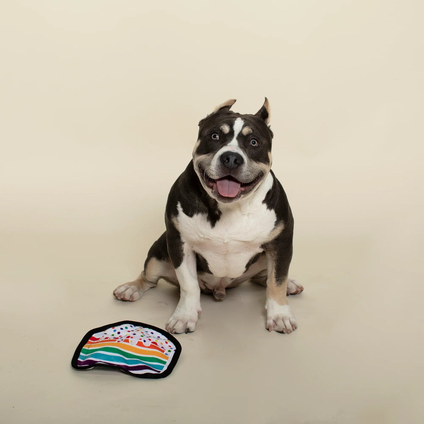 PetShop Cake, Durable Dog Toy