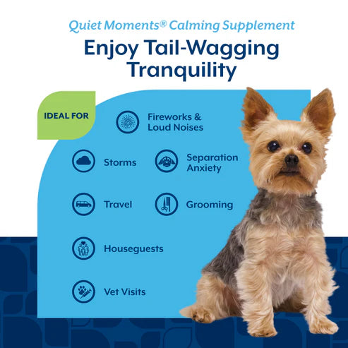 NaturVet Quiet Moments® Dog Calming Aid Soft Chews, Dog Supplement