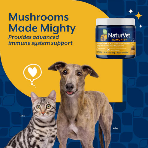 Naturvet Mushroom Max Soft Chew For Dogs And Cats, 60-Count