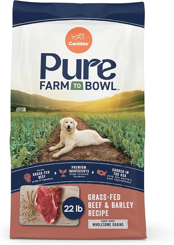 Canidae Pure Wholesome Grains Adult Beef & Barley, Dry Dog Food