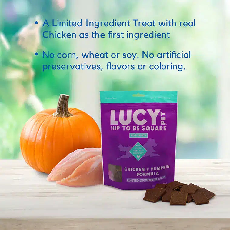Lucy Pet Hip To Be Square, Chicken & Pumpkin Recipe Dog Treat, 6-oz Bag