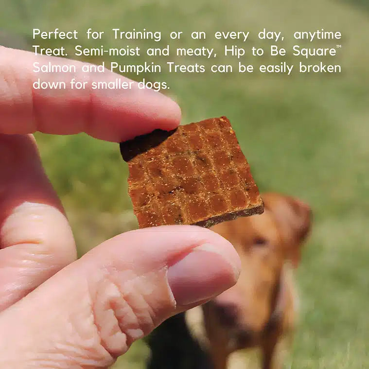 Lucy Pet Hip To Be Square, Salmon & Pumpkin Recipe Dog Treat, 6-oz Bag