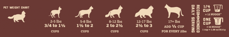 Boss Cat Pork Nuggets Recipe, Freeze-Dried Raw Cat Food, 9-oz Bag