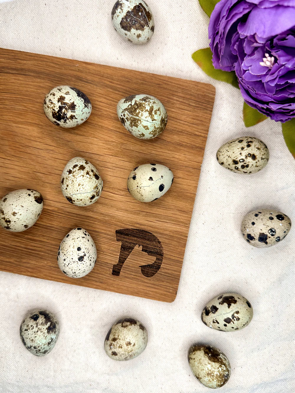Droolicious Freeze-Dried Quail Egg, Dog Treat