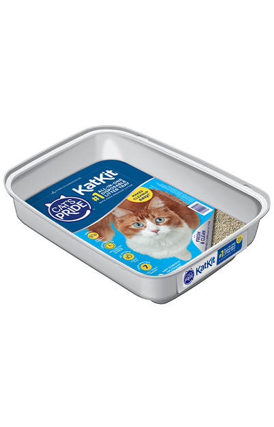 Cat litter box with tray clearance