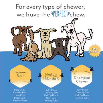 Honey I'm Home Buffalo Bully Stick Dog Chew, 12-in Single
