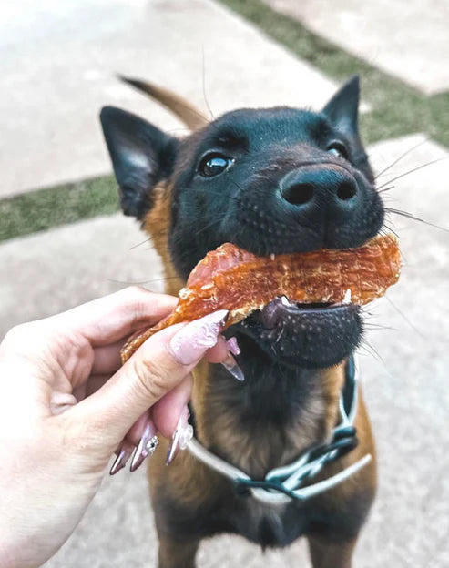 WulfSnacks Chicken Tenders Dog Treats, 4.5-oz Bag