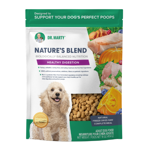 Dr. Marty Nature’s Blend Healthy Digestion , Freeze-Dried Raw Dog Food, 16-oz Bag