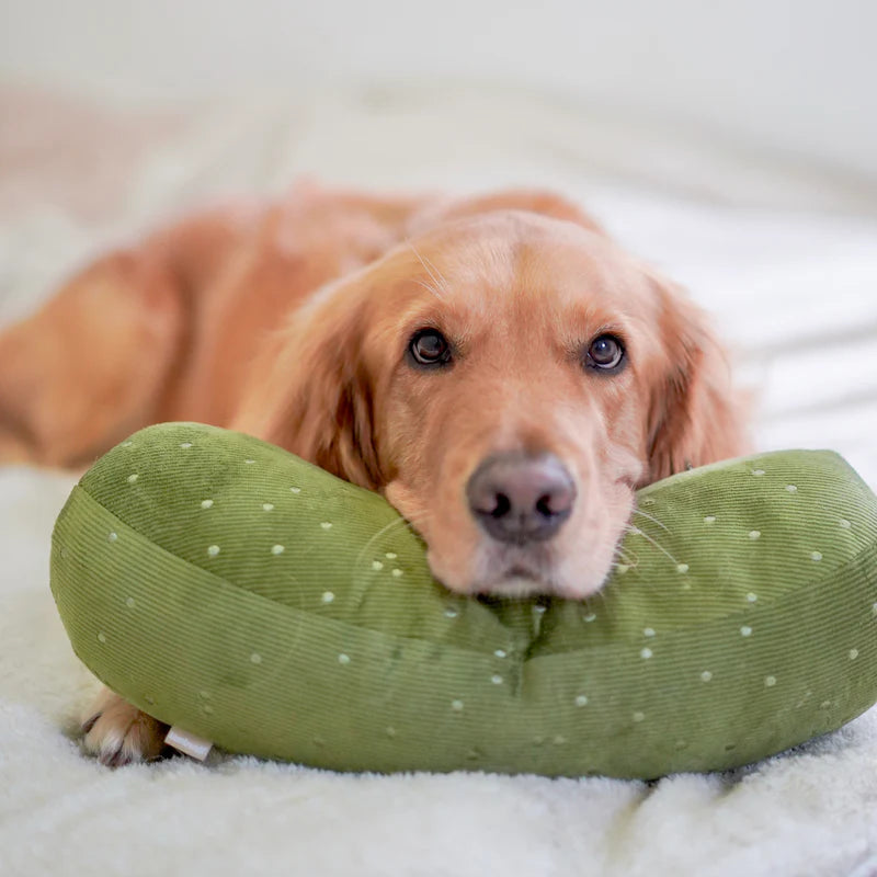 Lambwolf Collective Giant Pickle, Dog Toy