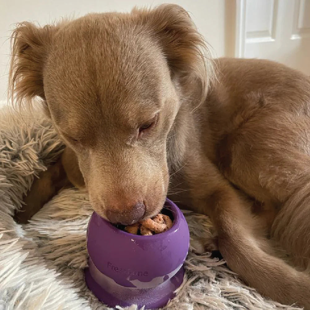 FreezBone Freezeball Dog Toy, Purple
