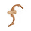 Canophera Wood Chew With Coconut Rope, Dog Chew