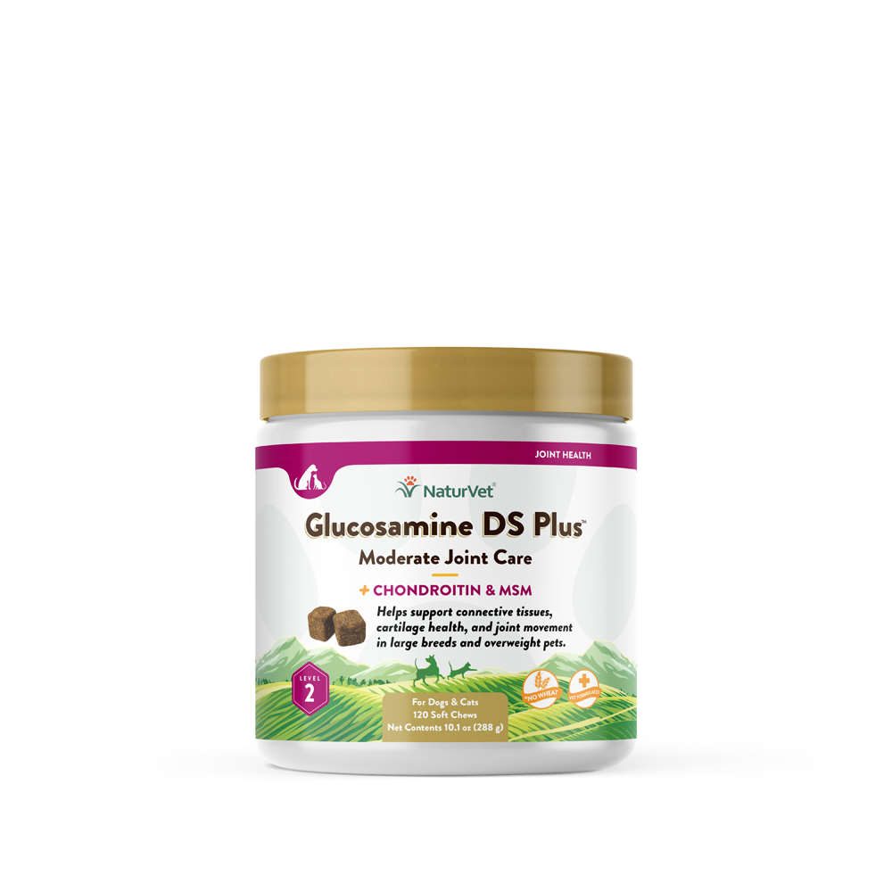 Glucosamine online ds plus