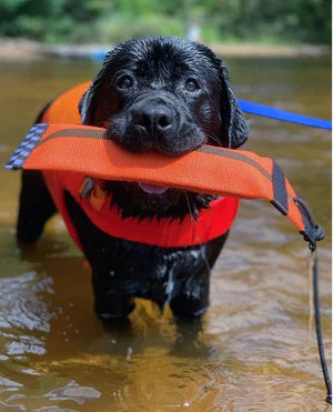 Katie's Bumpers Heave Hose Large Dog Best Fetching Toy
