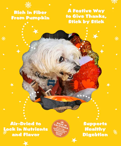 Plato Thanksgiving Dinner Chicken & Pumpkin Sticks Dog Treat, 5-oz Bag