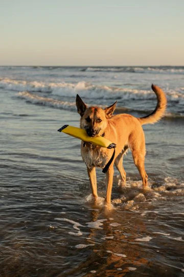 Katie's Bumpers Super Sqwuggie Best Tug Toy For Dogs