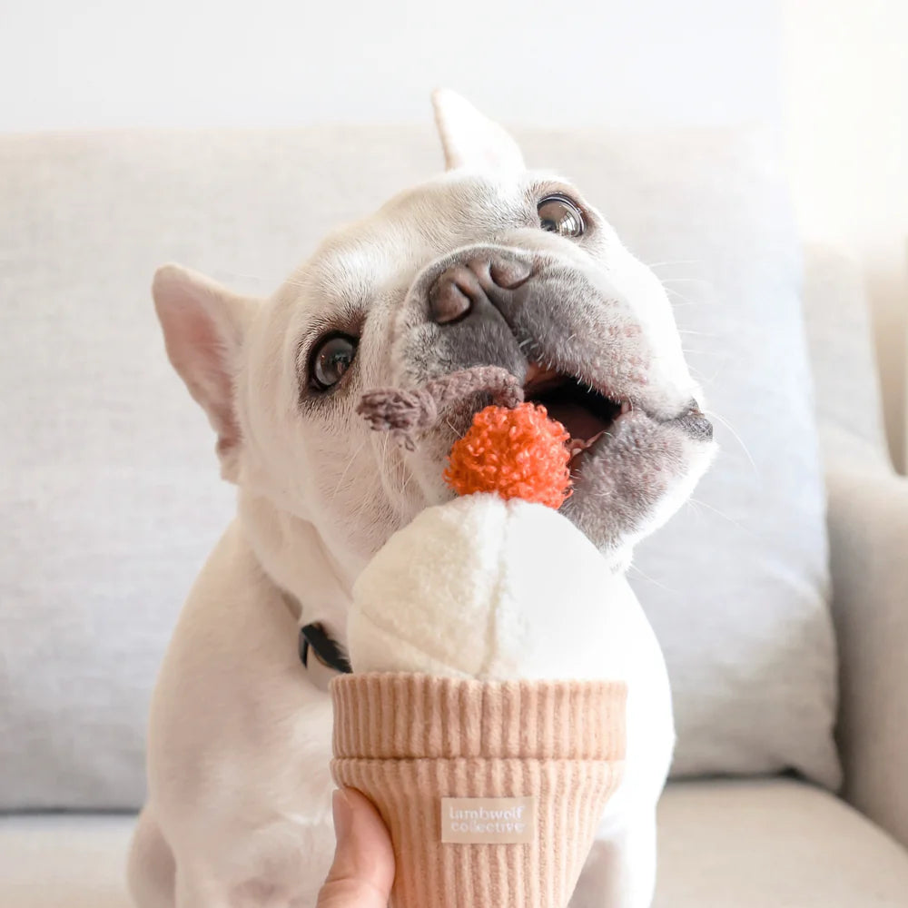 Lambwolf Collective Ice Cream Pop, Dog Snuffle Toy