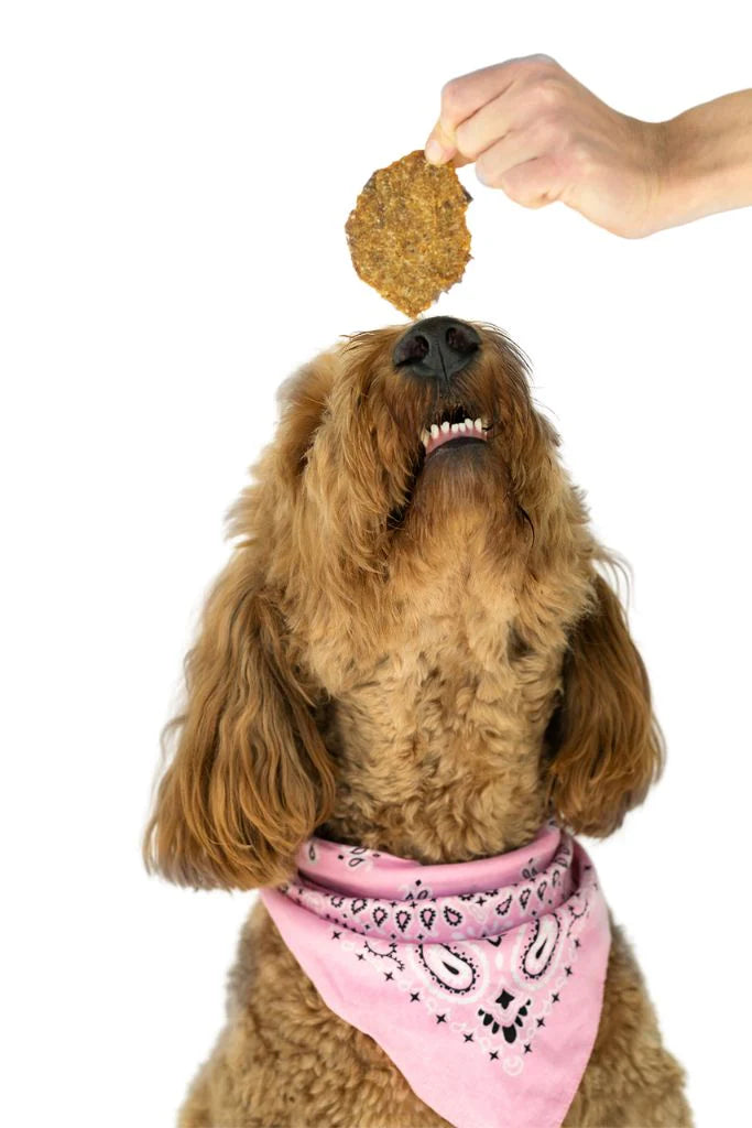 Winnie Lou Sweet Potato & Lamb Crisps, Dog Treat, 2.5-oz Bag
