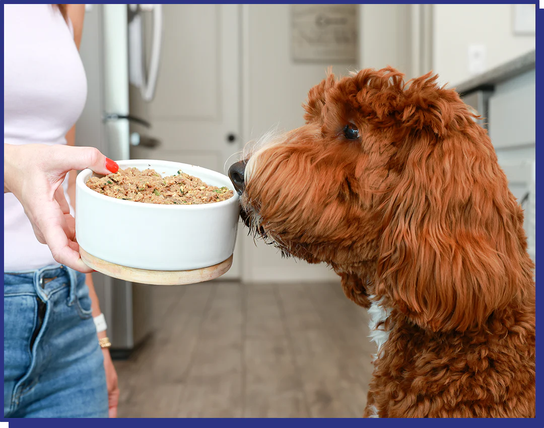 My Perfect Pet Low Fat Cod 4-lb, Gently Cooked Dog Food