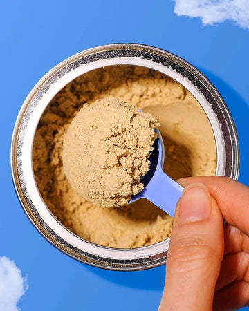 Native Pet Beef Bone Broth Powder, Meal Topper