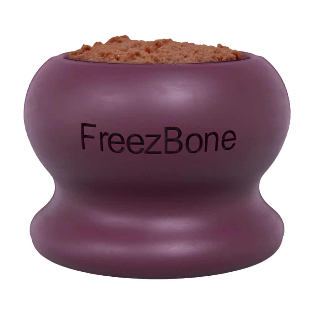 FreezBone Freezeball Dog Toy, Purple