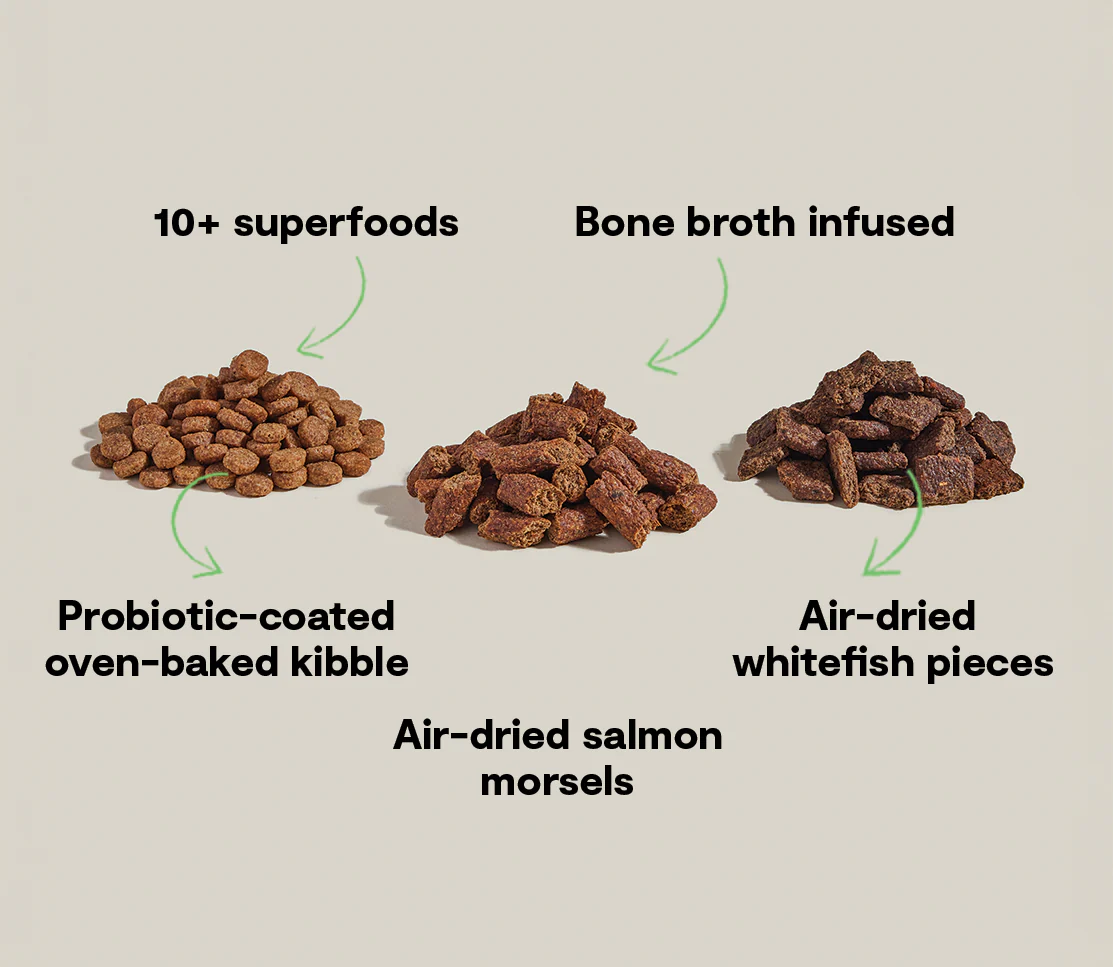 Open Farm Epic Blend Salmon and Superfood, Dry Dog Food