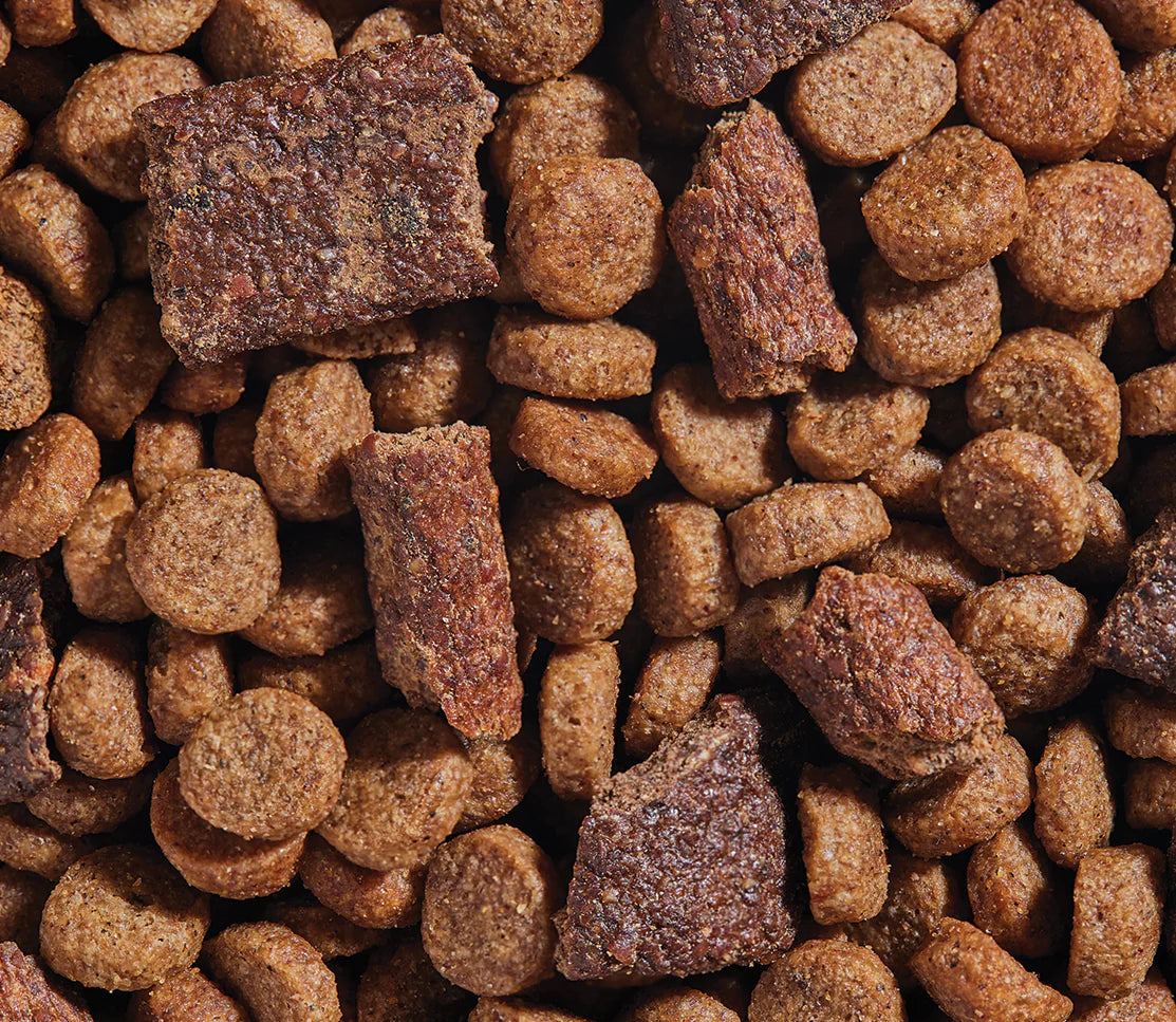 Open Farm Epic Blend Salmon and Superfood, Dry Dog Food