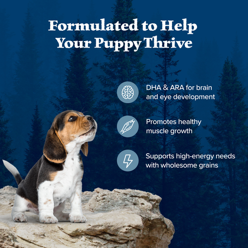 Blue Buffalo Wilderness Puppy Chicken And Brown Rice, Dry Dog Food