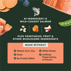 Instinct Raw Boost Salmon Dry Dog Food