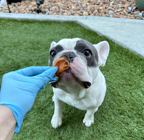 WulfSnacks Whole Green Lipped Mussels Dog & Cat Treat