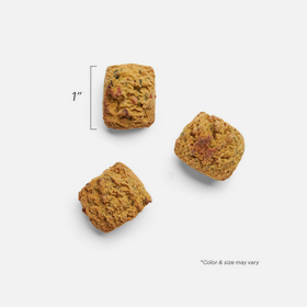 The Honest Kitchen Turkey Bone Broth Bites With Pumpkin, Dog Treat, 8-oz Bag